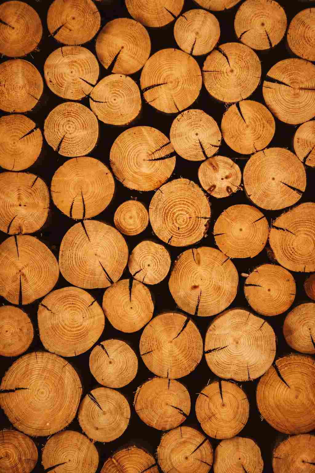 Detalle madera